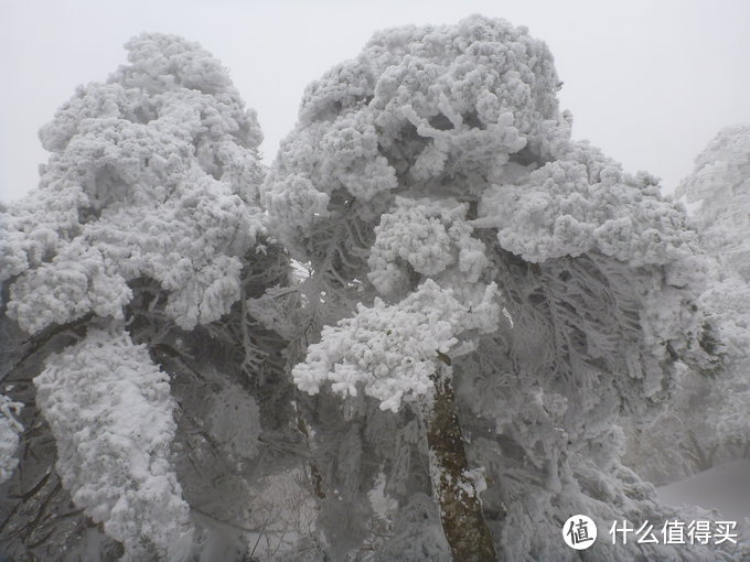 汉拿雪山惊魂之旅：记一次特别的济州岛自由行