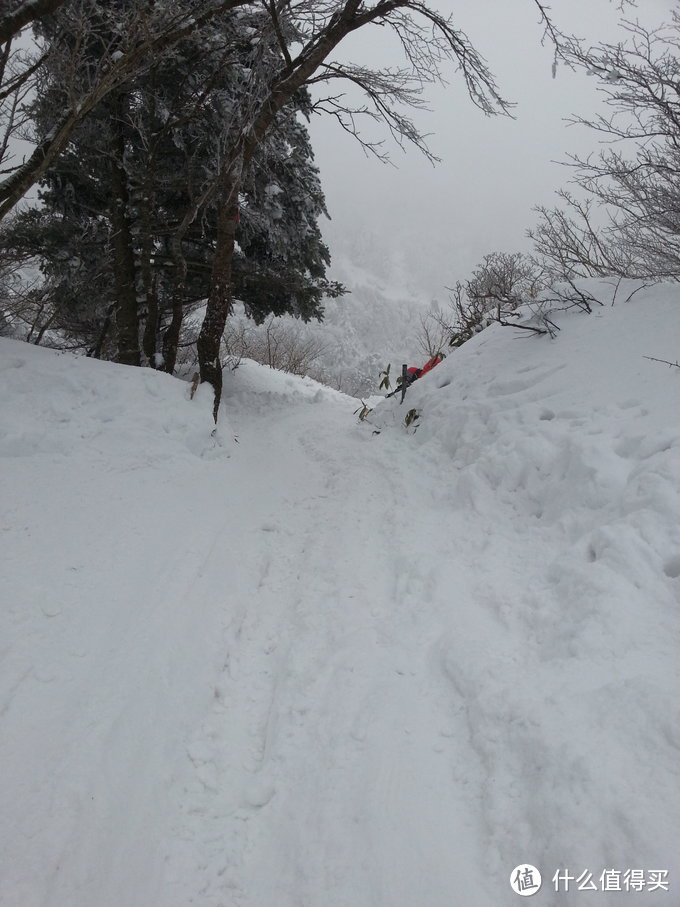 汉拿雪山惊魂之旅：记一次特别的济州岛自由行