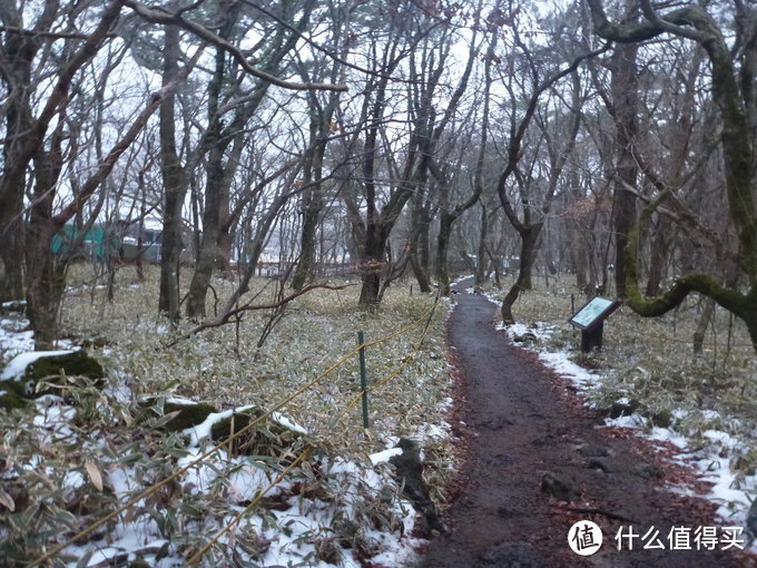 汉拿雪山惊魂之旅：记一次特别的济州岛自由行