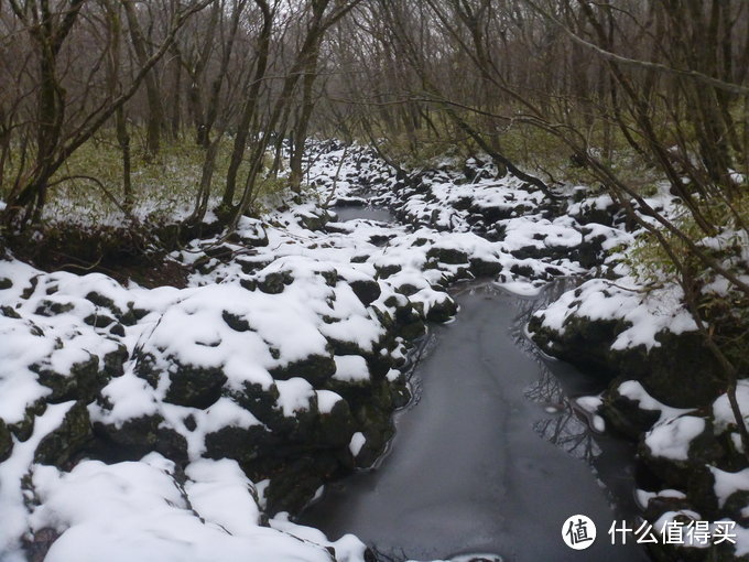 汉拿雪山惊魂之旅：记一次特别的济州岛自由行