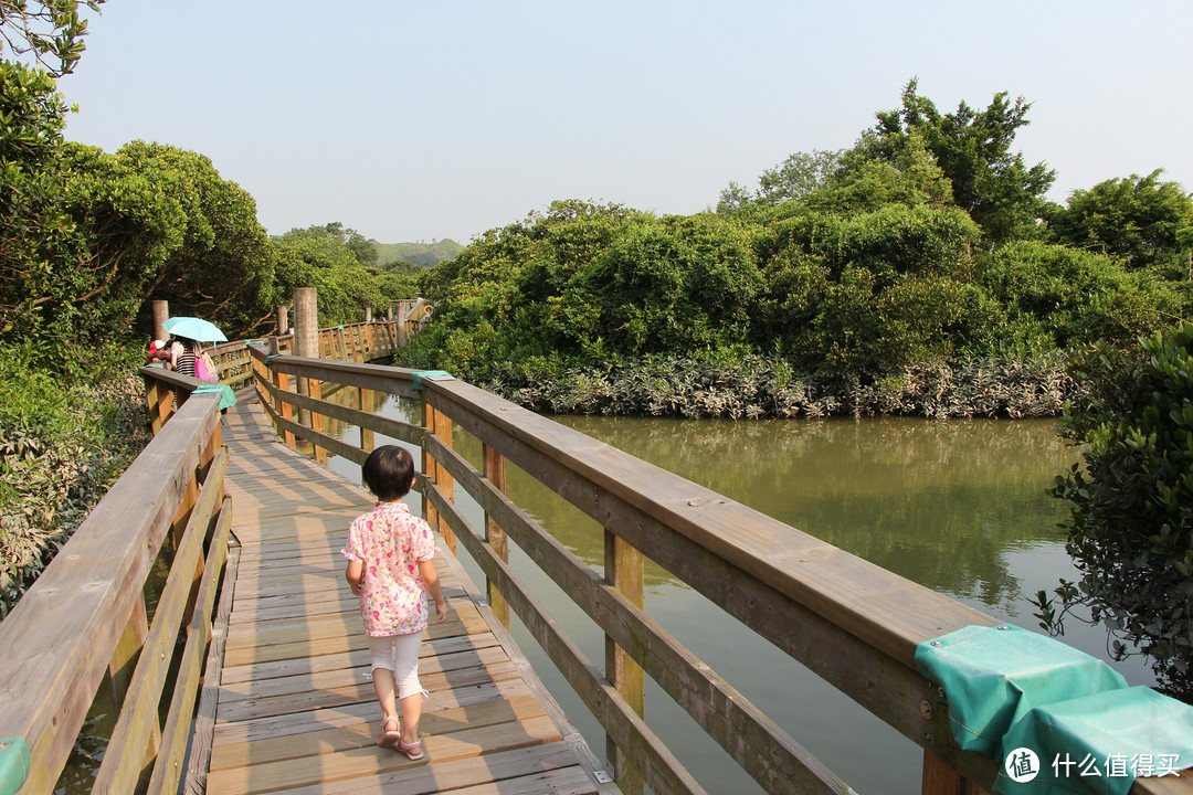 Day1:史诺比展览及香港湿地公园