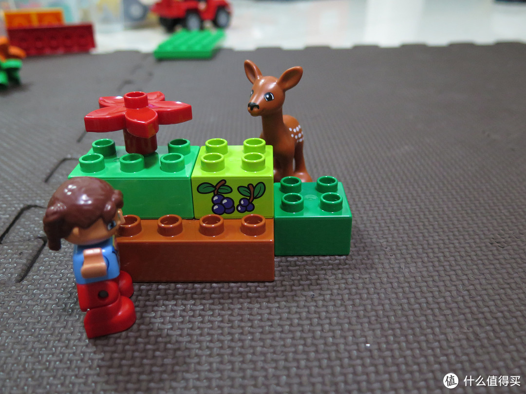 LEGO Duplo 得宝 森林主题:野生公园 10584