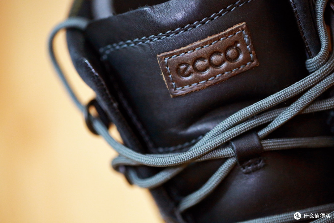 反季节入手 ecco 爱步 Darren Plain Toe GTX 徒步靴