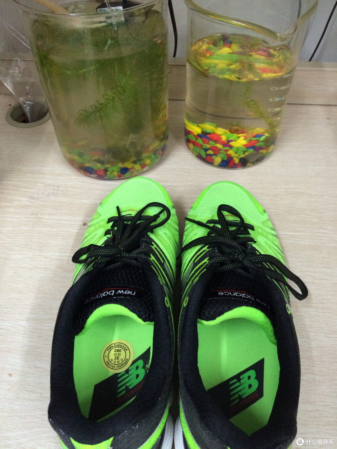 让人欲罢不能的荧光绿:New Balance M890GG5 跑鞋