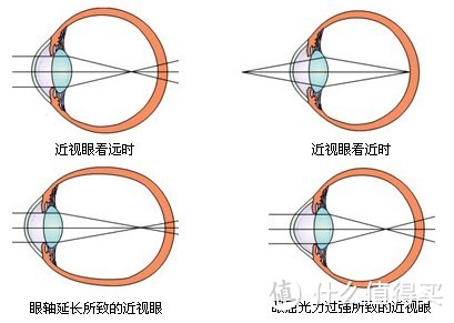 在线配镜+试戴体验先驱—Tapole眼镜Bookman系列近视眼镜评测报告