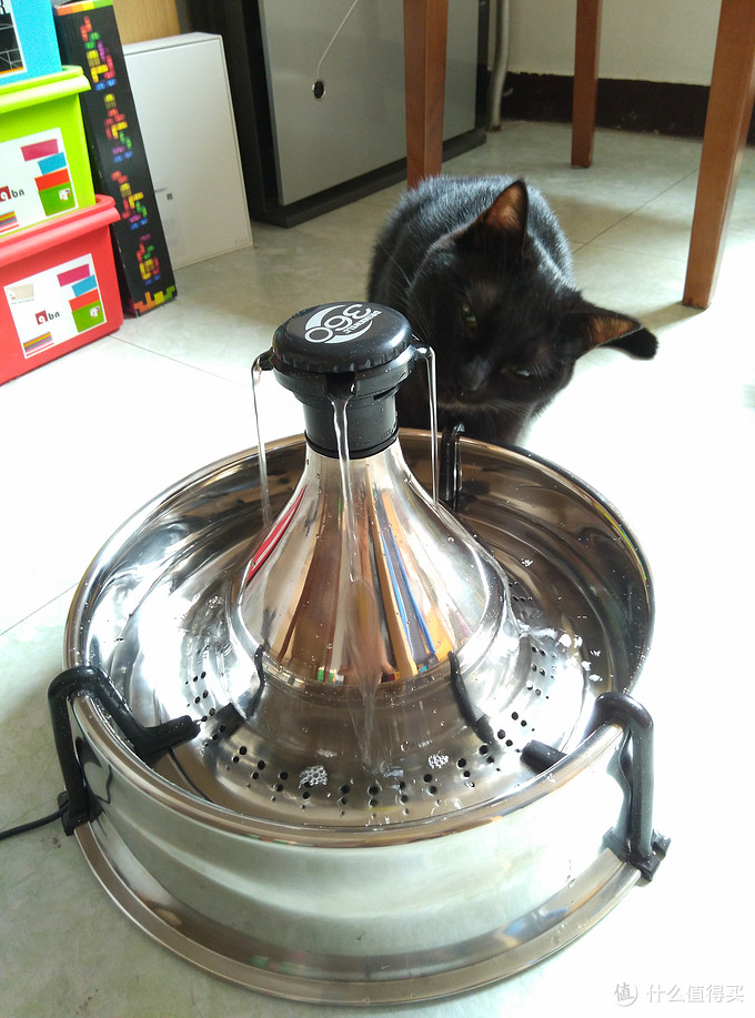 大概21.8元起,给你的主子搞个饮水机 附带Drinkwell 360 Pet Fountain开箱