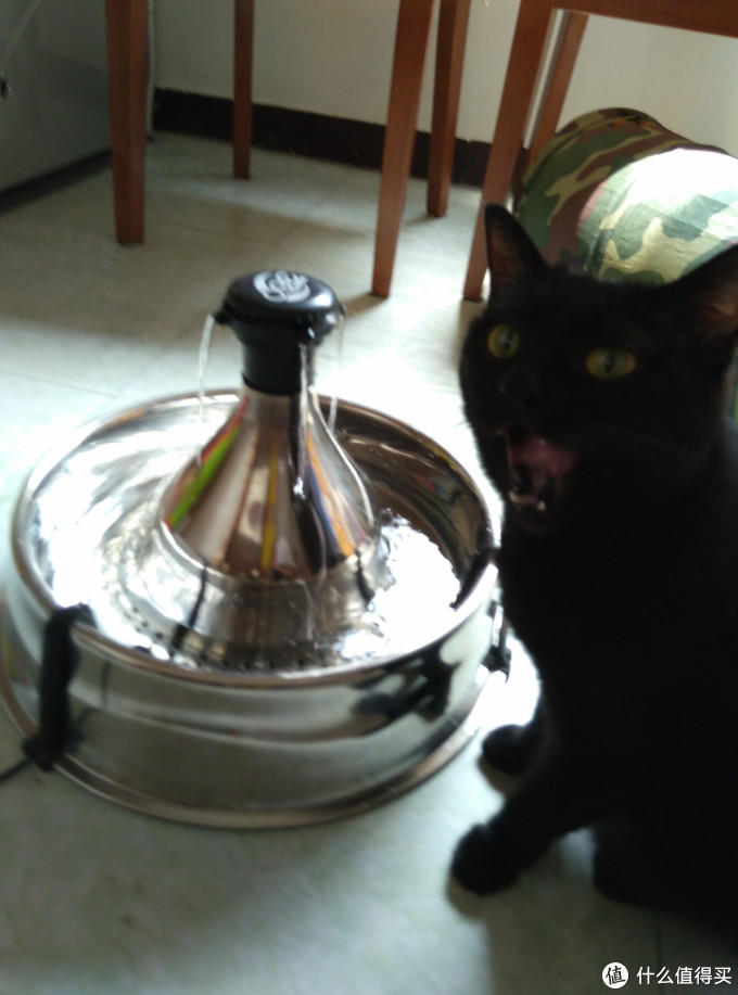 大概21.8元起,给你的主子搞个饮水机 附带Drinkwell 360 Pet Fountain开箱
