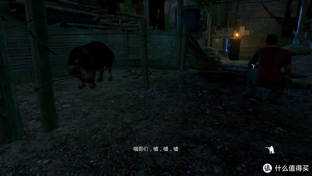 我的天，这里有只猪