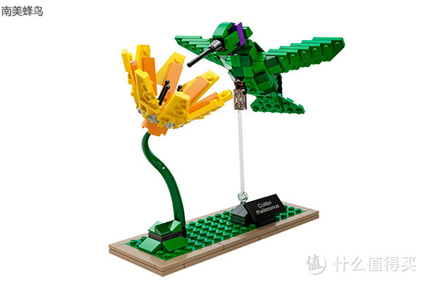 巧妙设计外观神似：LEGO 乐高 iDEAS系列 21301 BIRDS 鸟语花香 国内开售