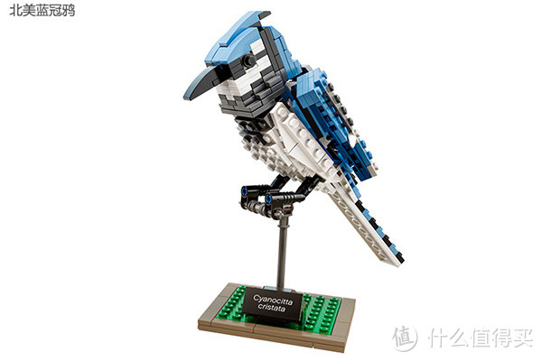巧妙设计外观神似：LEGO 乐高 iDEAS系列 21301 BIRDS 鸟语花香 国内开售