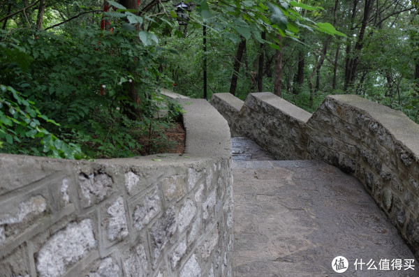 路走到顶上的兴国禅寺,并没有去万佛洞,因为看了无心法师路岳绮罗的洞