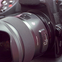 适马 ART 24mm F1.4 DG HSM 广角定焦镜头使用感受(对焦|光圈|画质|锐度)
