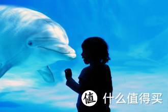 大叔与萝莉：Whaley 微鲸 55寸4K互联网智能液晶电视