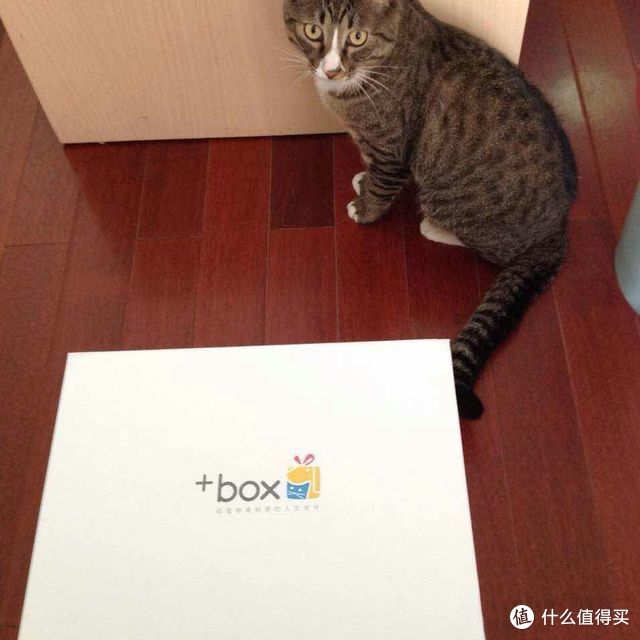 不完美但值得：虾头大王的的喵生大礼包评测
