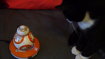 原力逗猫 — Sphero BB-8 星球大战7 遥控智能机器人 开箱