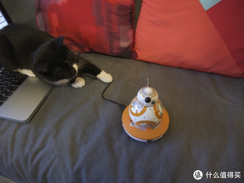 原力逗猫 — Sphero BB-8 星球大战7 遥控智能机器人 开箱