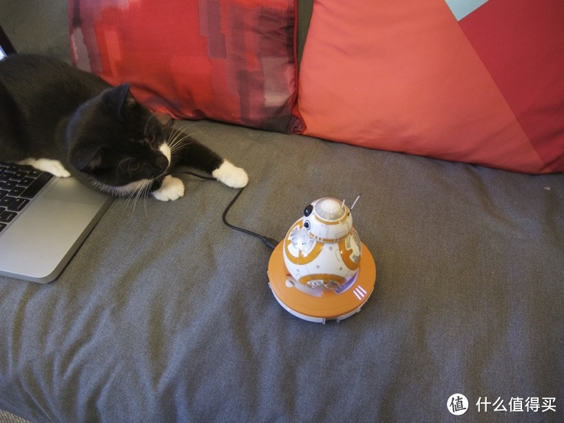 原力逗猫 — Sphero BB-8 星球大战7 遥控智能机器人 开箱