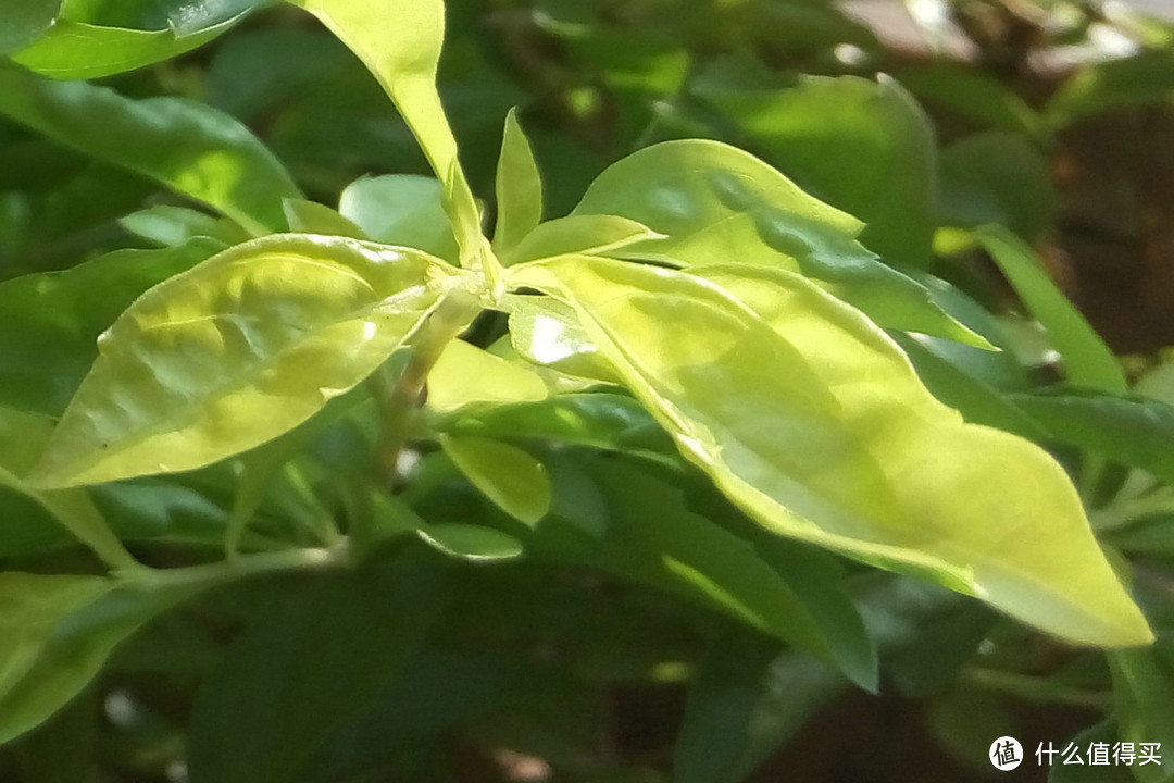 天气渐凉，买个暖手宝：魅蓝NOTE2 开箱加简单评测