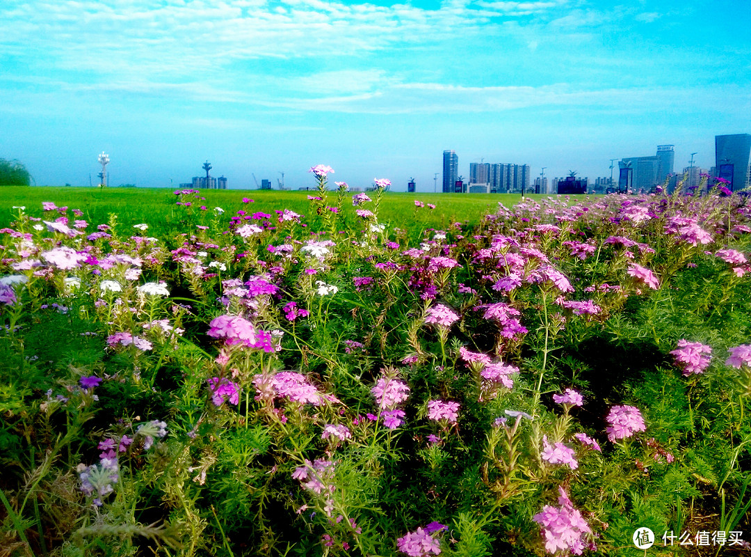 不谈器材，只谈内容，Photo 365计划，每日一拍，写在第30天