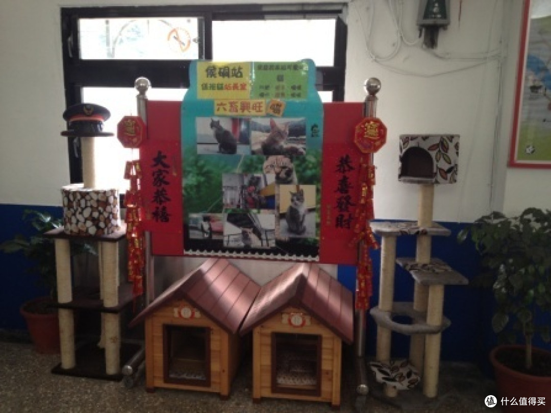 黑鼻站长 黑鼻站长