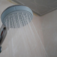 一棵好白菜：GROHE 高仪 天瀑100 手持花洒