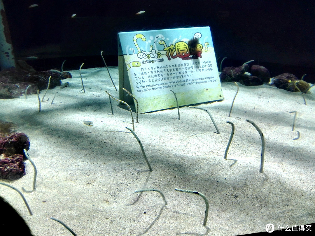 宝岛台湾自由行-记一次说走就走的环岛旅游