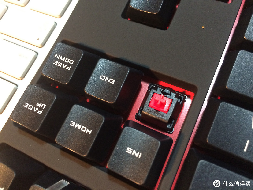 一切为了大F：酷冷至尊红轴、RK茶轴、贼鸥黑轴、黑爵轻黑机械键盘简单对比