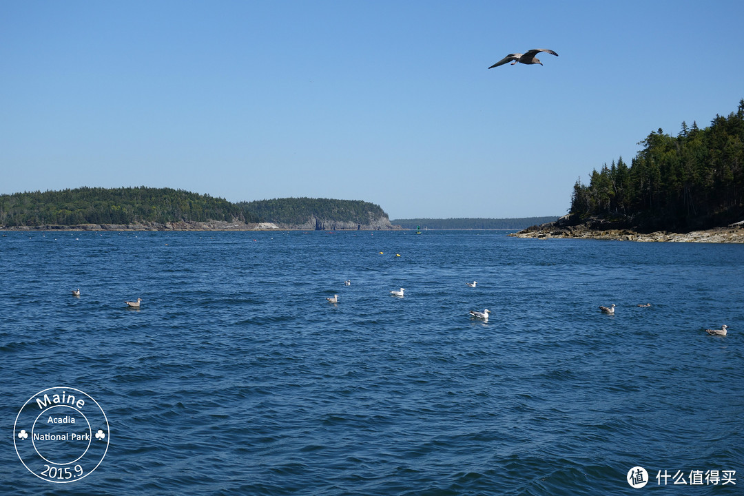 Acadia National Park 缅因州阿卡迪亚国家公园小游记