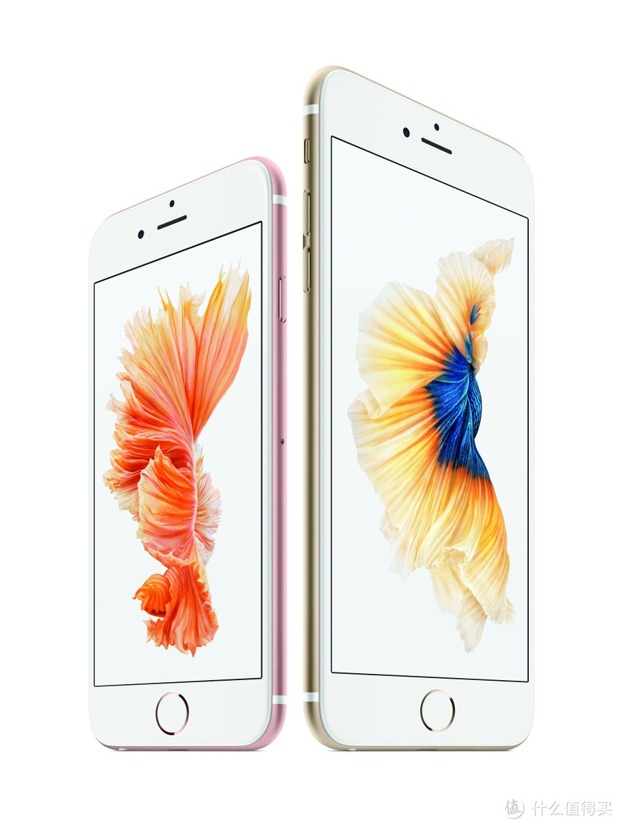 Iphone 6s 玫瑰金评测 Iphone 6s发布及价格 什么值得买