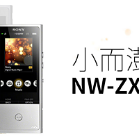 小白试玩 SONY 索尼 NW-ZX100 MP3播放器
