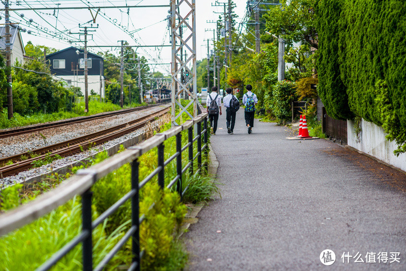 镰仓追梦之旅