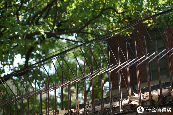 不仅是人像利器:SONY 索尼 E50mm F1.8 OSS