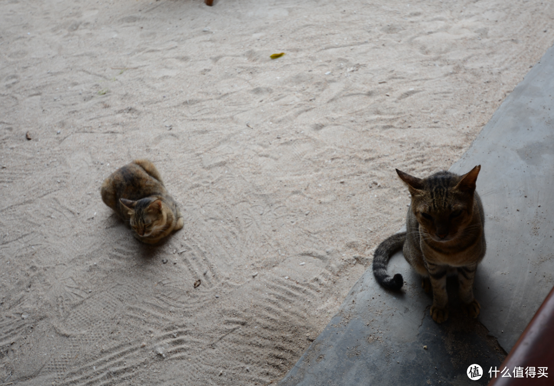 #旅途中的家# Vila Ombak in Gili Trawangan，印尼龙目岛