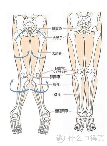 从3公里到全程马拉松，半年跑步经验谈