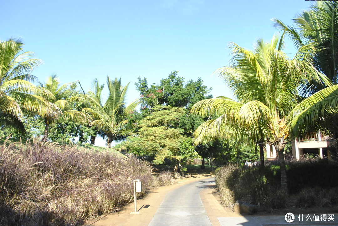 #旅途中的家#毛里求斯爱必浓，我的蜜月之选