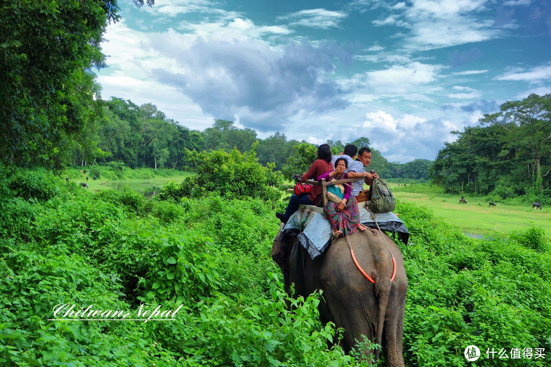 不一样的骑象之旅 — 尼泊尔奇特旺游记