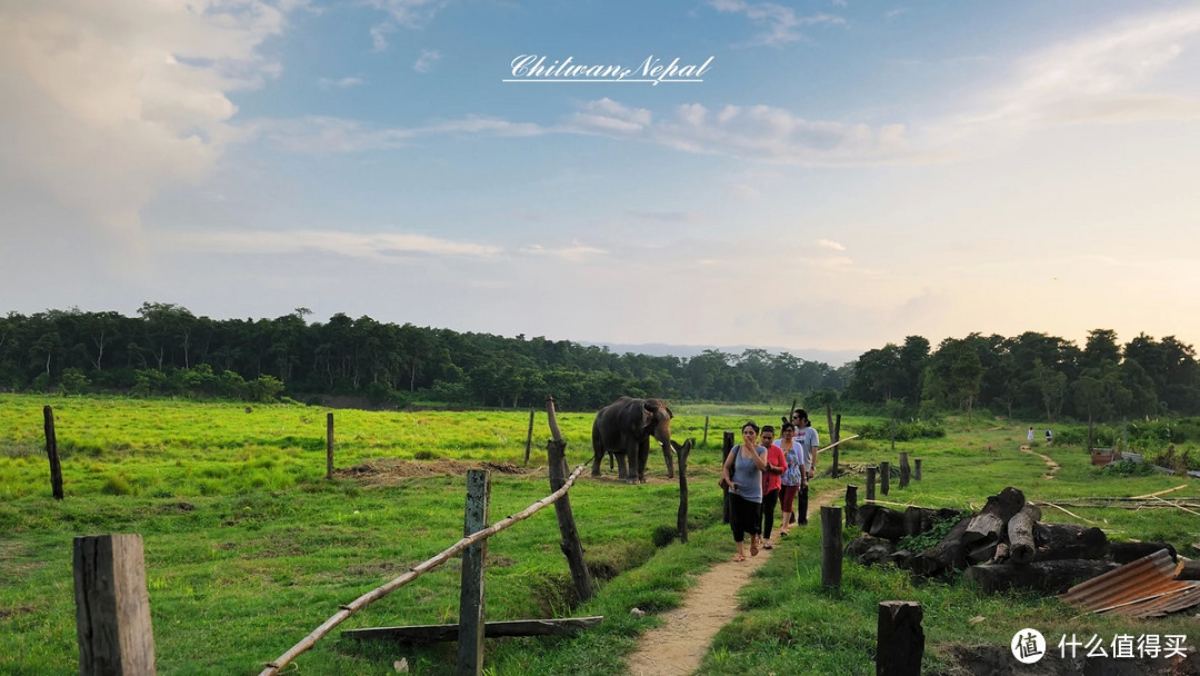 不一样的骑象之旅 — 尼泊尔奇特旺游记