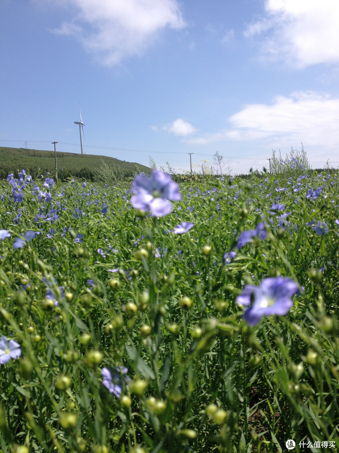 夏天一败涂地——初秋坐在吹热风的屋里吃着雪糕回忆夏天的那段骑行