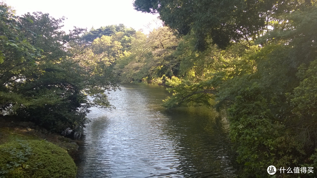 日本自由行全程流水+心得，多图杀猫