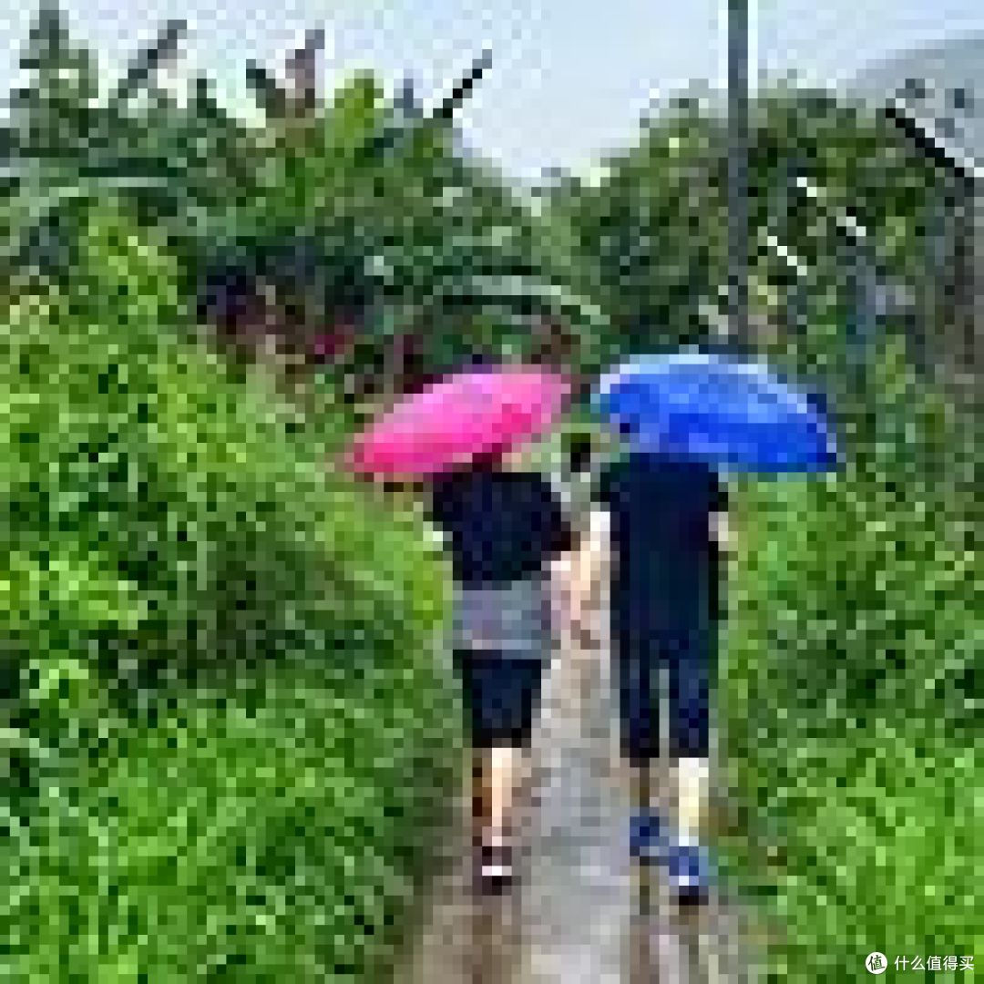 #久久重阳#征稿盘点：除了关怀和陪伴，你还可以送这些充满爱的礼物