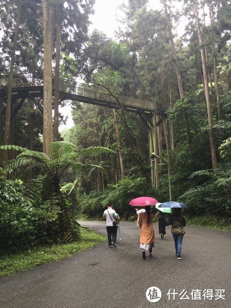 #久久重阳#圆了岳父的心愿--台风中些许遗憾的宝岛跟团游