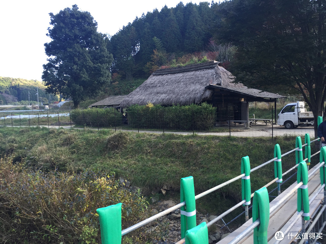 日本大阪和奈良自由行：来一次没有买买买只有体验风土人情的旅行吧~