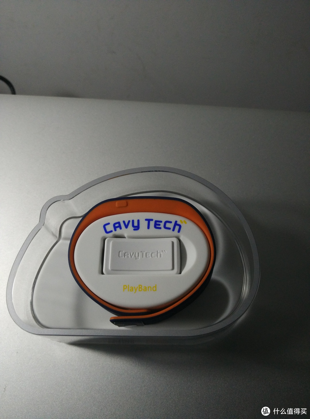 豚鼠（cavy）智能体感手环体验测试