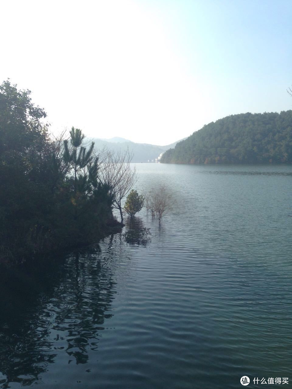 带着众测去跑宁波国际马拉松