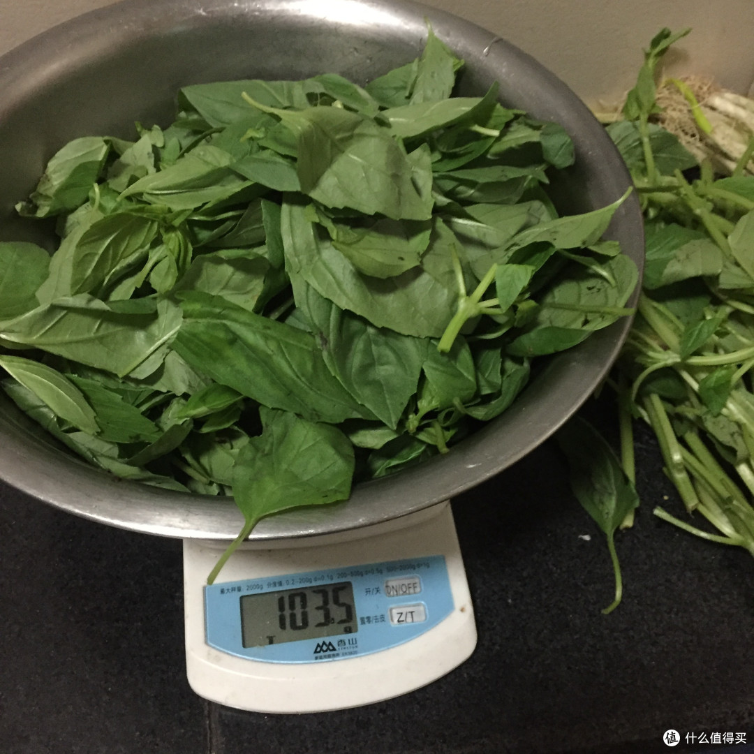 关于意面的那些事儿