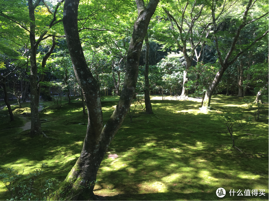 不一样的日本游—日本古建寻踪