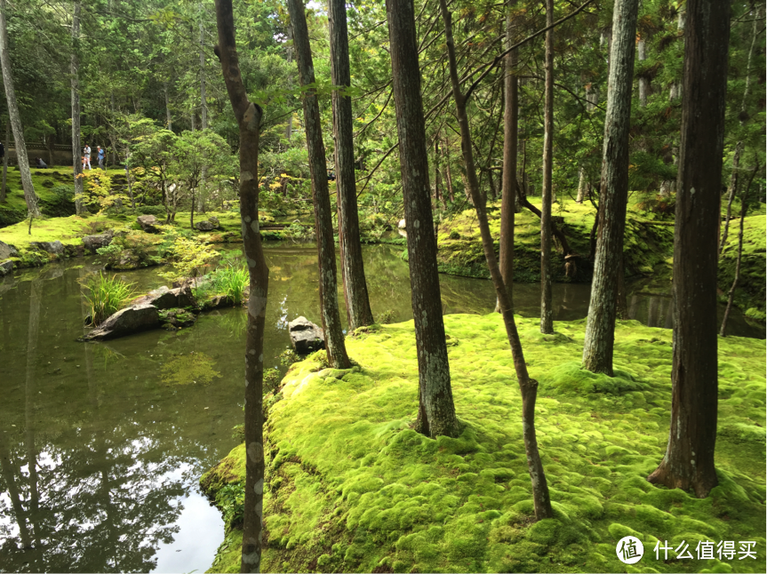 不一样的日本游—日本古建寻踪