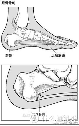 第一次测评，很不错的SOFSOLE舒足速乐 ATHLETE跑步鞋垫