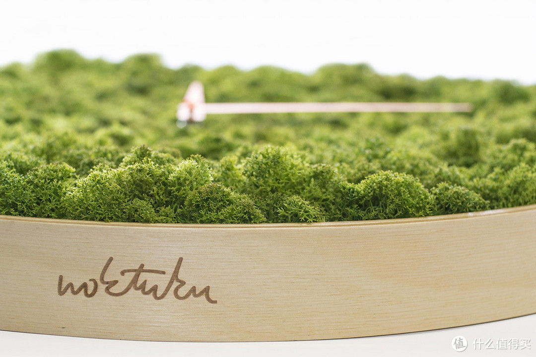 贴近大自然系列：荷兰设计工作室Noktuku 推出 苔藓时钟 