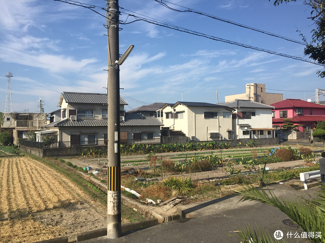 日本大阪和奈良自由行：来一次没有买买买只有体验风土人情的旅行吧~